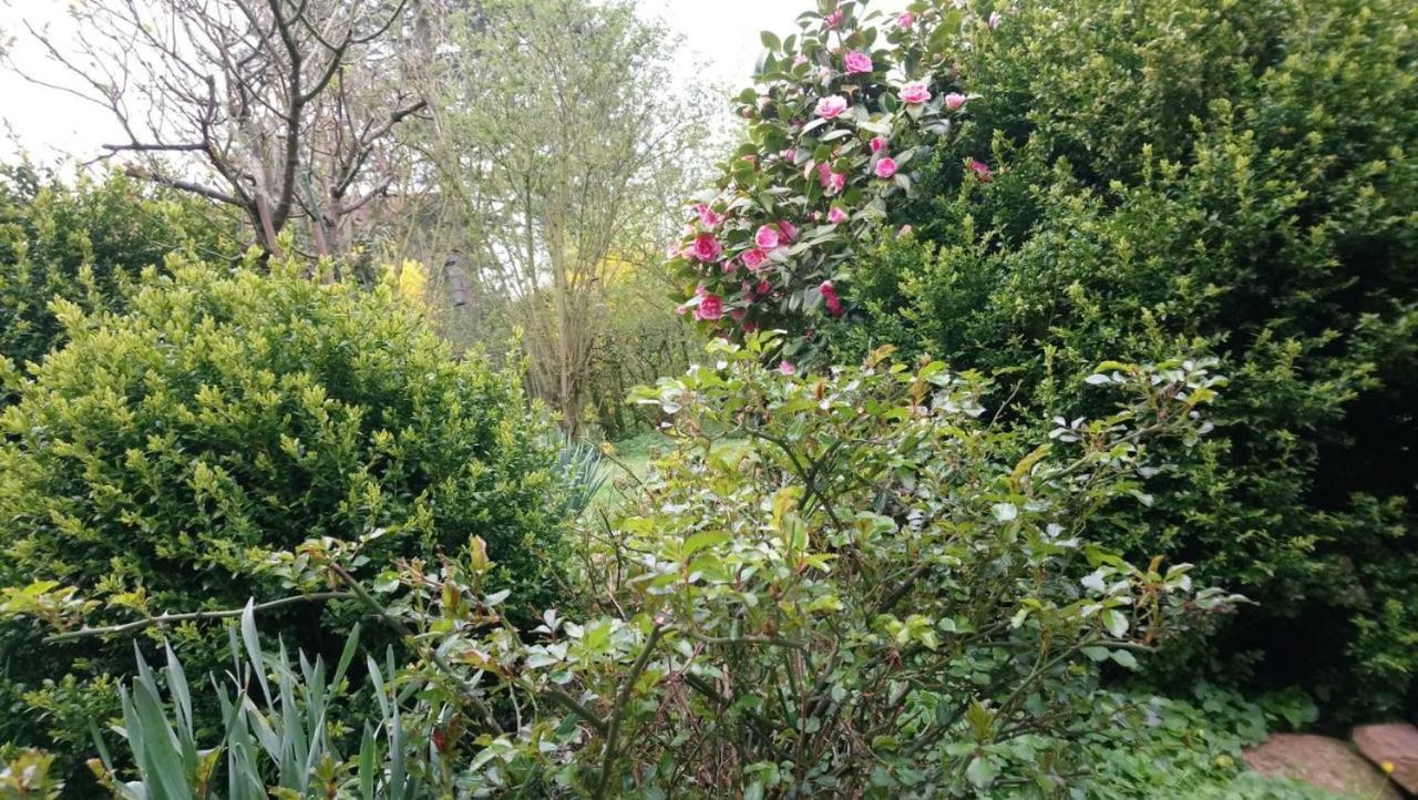 La Casa Ferienwohnung Schauinsland Steinberg  Bagian luar foto